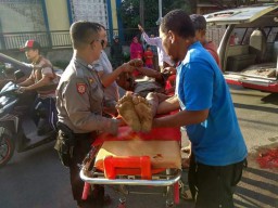 Mobil Iring-iring Pengantin Tabrak Pengendara Sepeda Ontel, Korban Tewas di Lokasi