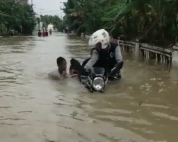 Banjir di Empat Kecamatan, Ribuan Rumah dan Persawahan Terendam