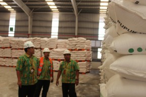 Sambut Musim Tanam Oktober-Maret, PG Siapkan Stok Pupuk Empat Kali Lipat
