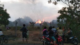 Pabrik Kayu PT Hutan Lestari Kebakaran