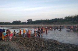 Air Surut dan Mengering, Bengawan Solo di Gresik Jadi Wisata Dadakan