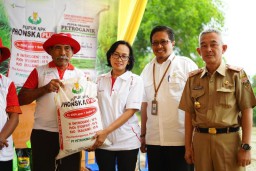 Petrokimia Gresik Gencarkan Pemupukan Berimbang dengan Pupuk Organik