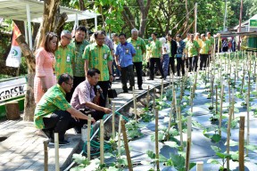 Kebun Budidaya Sayur dan Ikan Perkuat Konsep Masjid PG Berwawasan Lingkungan