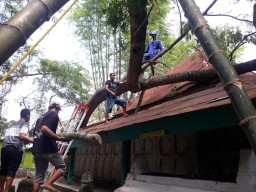 Perbaikan Usai Tertimpa Pohon, Makam Sunan Prapen Tetap Cagar Budaya