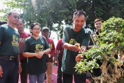 Pecinta Bonsai Seluruh Indonesia 'Pinarak' di Bojonegoro