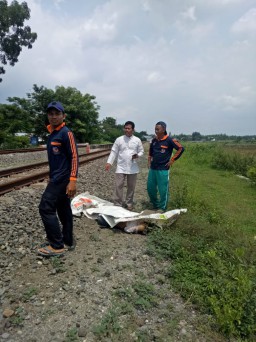 Tiduran di Atas Rel, Perempuan 25 Tahun Tewas Dilindas Kereta