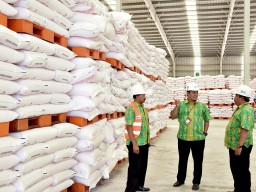 Direksi Petrokimia Gresik Blusukan ke Daerah, Pastikan Stok Pupuk Bersubsidi Aman