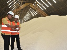 Di Penghujung Tahun, PG Kembali Ekspor Pupuk NPS ke India