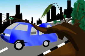 Pengendara Honda APV di Tulangan Tertimpa Pohon