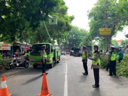 Rawan Tumbang, Satlantas Polres Gresik Lakukan Pemotongan Pohon