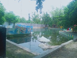 Sendang di Bojonegoro Pernah Disinggahi Soekarno, Ini Mitos Masyarakat Sekitar