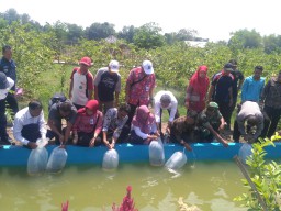 Bulan Depan, 550 Ribu Bibit Ikan Disebar ke 50 Desa