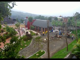 Tak Punya IPAL, DLH Tegur Cimory Pasuruan