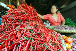 Harga Cabai di Lamongan Tembus Rp 70 Ribu/Kg