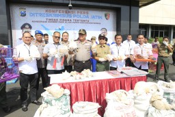 Jaringan Pedagang Satwa Dilindungi Terbongkar, Polisi Amankan Tersangka dari Berbagai Kota