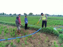 Sebabkan Orang Meninggal, Jebakan Tikus Listrik di Gresik Bakal Diputus