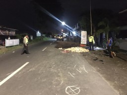 Pick Up Muatan Ayam Tabrak Pemotor Hingga Tewas Mengenaskan di Jalan Raya Ngembung Cerme