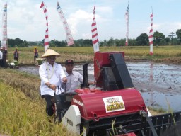 Harga Bawang Putih Melambung Imbas dari Virus Korona, Mentan Pastikan Tidak Ada Kelangkaan