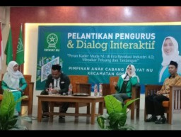 Soal Pemuda Gresik, Kemenpora Sarankan Bikin Perda Pemberdayaan