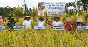 Pemupukan Berimbang, PG Buka Demplot di Lampung