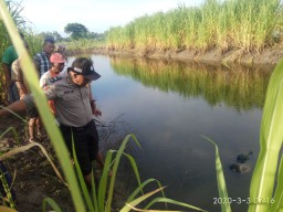 Pencari Rumput Ditemukan Tak Bernyawa di Dekat Tambak