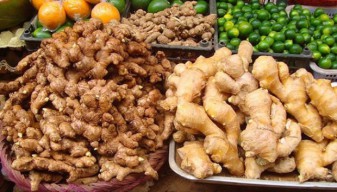 Bahan Jamu, Kunyit dan Jahe Kini Diburu Masyarakat