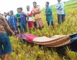 Disambar Petir di Sawah, Warga Probolinggo Tewas Seketika
