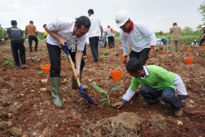 Semen Indonesia Gelar Pelatihan Pertanian Hortikultura
