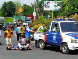 Adu Banteng, Dua Pengendara Motor Luka berat 