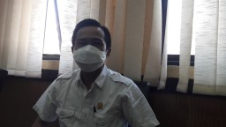 Padi Petani Jember Diserang Wereng, Dewan Minta Pemprov Turunkan Bantuan