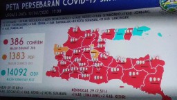 Ngeri ! Sehari di Surabaya Positif Covid-19 Bertambah 83 Orang, Sidoarjo dan Lamongan 10 Orang