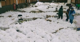 Pemkot Surabaya Siapkan Sembako untuk 68.000 KK