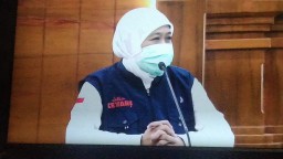 Pasien Gresik dan Banyuwangi Sembuh, Total Ada 46