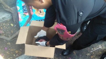 Bayi Perempuan Dalam Tas Dibuang di Kawasan Kenjeran