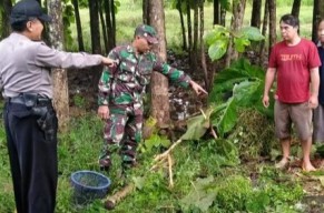Dua Pencari Pakan Jombang Tewas Disambar Petir