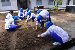 Jalasenastri Denmako Lantamal V Tanam Sayur