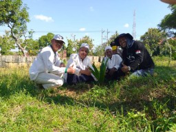 Sambang Ponpes Sunan Drajad, Kaji Sholah Tanam Kelapa Hingga Ajari Santri Bertanam