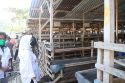 Nomor Delapan Se-Jatim, Bupati Bojonegoro Minta Kelompok Ternak Tidak Hanya Nama