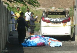 Terungkap, Pembakar Alphard W 1 VV Ternyata Fans Berat Via Vallen