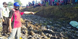 Pria Sidoarjo Ditemukan Tewas di Sawah Mojokerto, Perutnya Robek