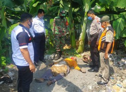 Sodik Mati Mendadak di Kebun Pisang