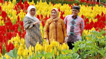 Banyuwangi Bersiap Buka Tempat Wisata dengan New Normal