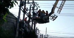 Burungnya Lepas, Pria Ini Naik Tiang Listrik Hingga Tersengat