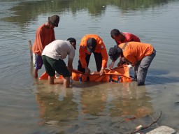 Mayat Perempuan Mengapung di Bengawan Solo Bojonegoro