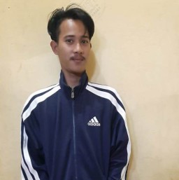 Pemuda Manyar Curi Sepeda Ontel Milik Ibu Muda