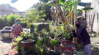 KKN Mahasiswa UNS, Ajak Warga Madiun Tanam Apotek Hidup