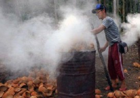 Petani Situbondo Klaim Temukan Obat Penyembuh Covid-19