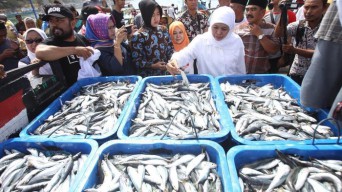 Juni, Nilai Tukar Nelayan Jawa Timur Naik 1,63 Persen