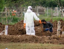 Empat Orang Diciduk Polisi Usai Kasus Bongkar Peti Pasien Covid-19 di Pasuruan