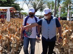 Bersama Wakil Ketua DPR, PG Panen Produk Hortikultura di Gorontalo